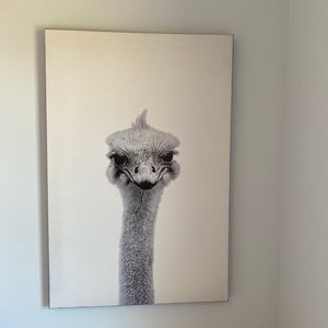 Ostrich art